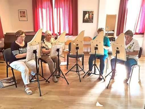 Liane Bantle, Josefine Knaus, Luise Pfister und Siglinde Stadler gewannen   einen ersten Eindruck über die Vielfalt der Harfen-Literatur und die Einsatzmöglichkeit dieses Instruments. Foto: Schwarzwälder Bote