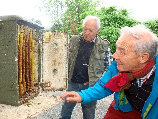 Willi Holdermann (links) zeigt  Hans-Friedrich Scheeder die Bienenwaben in seinem Hornissenkasten. Foto: Glaser Foto: Schwarzwälder-Bote