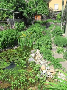 Wildblumen und kleine Wasserflächen bereichern laut Referentin Doris Deppe den Hausgarten. Foto: Deppe Foto: Schwarzwälder Bote