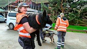 Der rund 40 Kilogramm schwere Rettungshund „Odysseus“ muss in den Übungen auch zulassen,dass er getragen wird. Das wäre im Falle einer Verletzung notwendig, erklärte Sarah Hoferer vom DRK Ortenau. Foto: Decoux