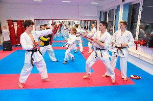 In der Karateschule Morina, die auch Regionalstützpunkt des Karate-Verbands Baden-Württemberg ist, wird unter der Woche viel trainiert. Nun richtet die Schule unter am kommenden Samstag die Karate-LM in der Stadionhalle aus. Foto: Schwark
