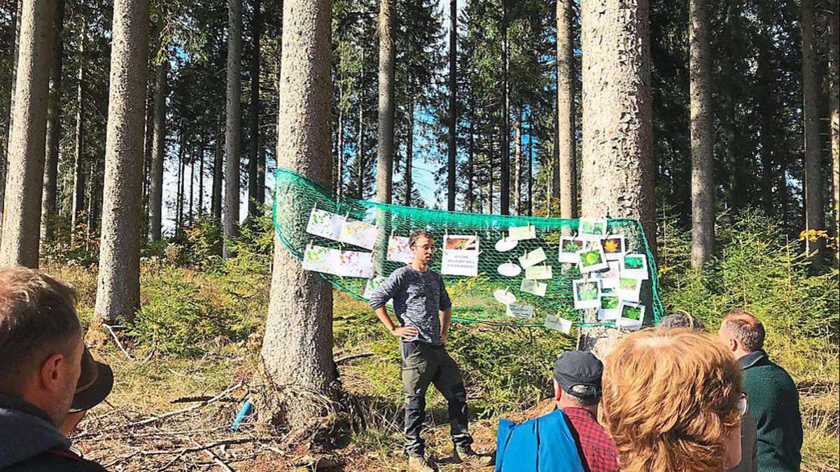 Waldexkursion im Oberen Bregtal: Welche Bäume halten dem Klimawandel stand?