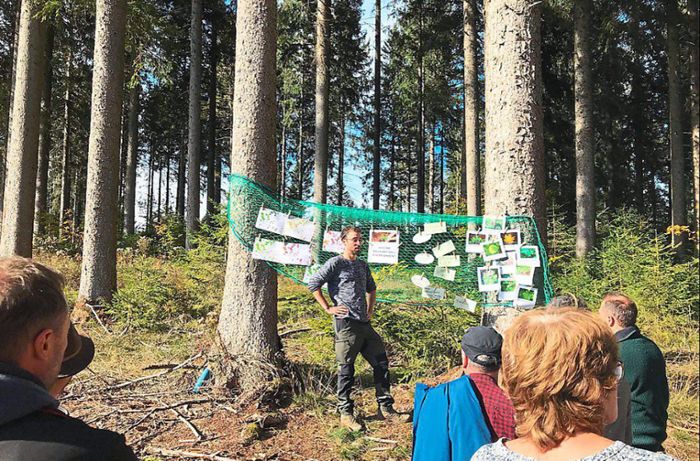 Waldexkursion im Oberen Bregtal: Welche Bäume halten dem Klimawandel stand?
