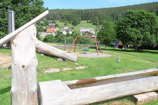 Für den Brunnen beim Grill- und Spielplatz in Hammereisenbach ist ein Hinweisschild Kein Trinkwasser angeregt worden. Foto: Schwarzwälder Bote