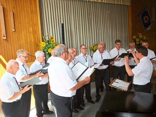 Beim Fest zum 160-jährigen Vereinsbestehen wurde natürlich auch gesungen.  Foto: Stocker Foto: Schwarzwälder Bote