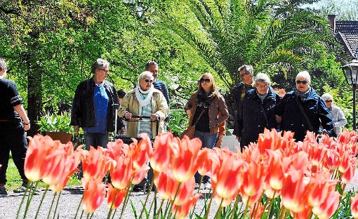 Zum Fest mit 25 000 Tulpen  zeigte sich der launische April am Sonntag  von der Sonnenseite. Foto: Baublies