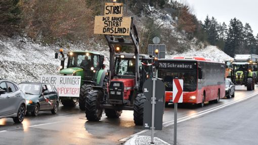 Die Proteste der Landwirte sind auch im Kreis Rottweil unübersehbar. Foto: Wegner