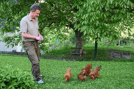 Susanne Ahner und Markus Graf umringt von ihren Hühnern. Die Eier werden fein säuberlich beschriftet. Der Gestaltung  sind beim Stallbau keine Grenzen gesetzt, wie dieses Modell aus einem Bochinger Garten beweist. Foto: Danner