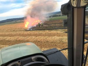 Warum das Feld anfing zu brennen, ist unklar. Foto: Kaltenbach