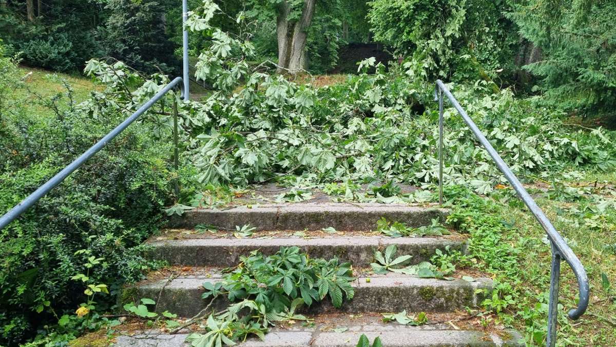 Liveblog zu schwerem Unwetter: Umgestürzte Bäume und Hagel - so hat das Unwetter in der Region gewütet