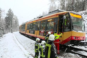 Die Feuerwehr Freudenstadt half mit, die Fahrgäste in der S-Bahn auf freier Strecke zu betreuen. Foto: Feuerwehr