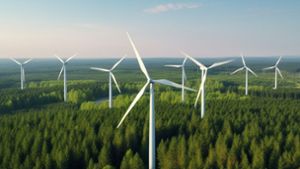 Teilflächennutzungsplan Windenergie: Pfalzgrafenweiler pocht auf kleinere Flächen