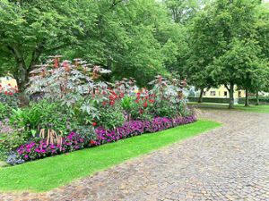 Als Alternative zu einem kompletten Staudengarten können auch – wie im Haslacher Klostergarten – einzelne Reihen mit einjährigen Pflanzen gesetzt werden.  Foto: privat Foto: Schwarzwälder Bote