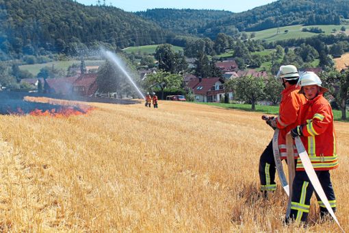 Mit einem Großaufgebot bekämpfen die Kameraden den Flächenbrand bei Epfenhofen. Links ist deutlich das brennende Stoppelfeld zu sehen. Nach Schätzung der Polizei brannten circa drei Hektar ab. Foto: Baltzer Foto: Schwarzwälder Bote