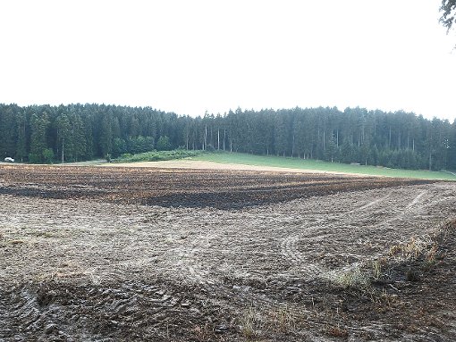 Der kleinste Funken kann derzeit für einen Wald- oder Flächenbrand sorgen. Foto: Scheidel