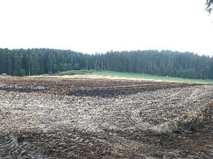 Der kleinste Funken kann derzeit für einen Wald- oder Flächenbrand sorgen. Foto: Scheidel