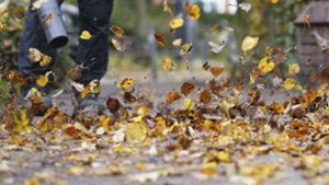 Die Laubbläser sorgen mit ihrem ohrenbetäubenden Lärm gerade im Herbst für Aufregung. Foto: dpa/Marcus Brandt