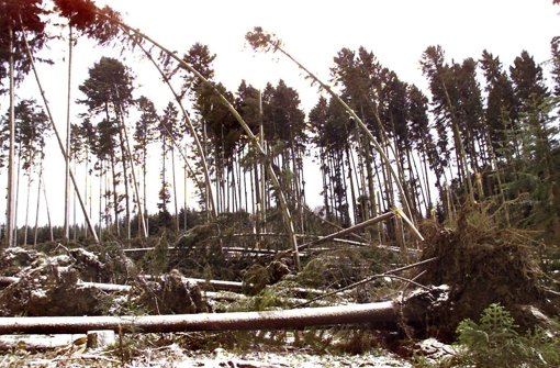 Zahlreiche entwurzelte Bäume liegen am 27. Dezember 1999 in einem Waldstück bei Villingen-Schwenningen (Schwarzwald-Baar-Kreis). Am zweiten Weihnachtsfeiertag fegte das Orkantief Lothar über Mitteleuropa hinweg und richtete schwere Verwüstungen an. Foto: dpa