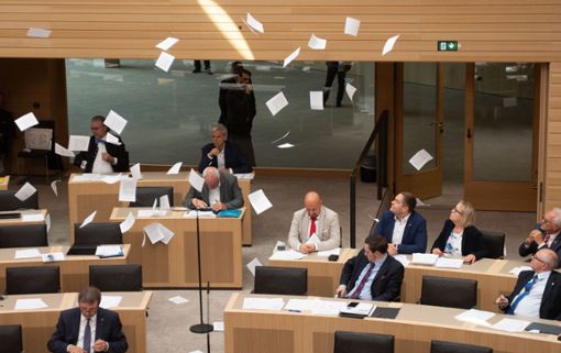 Gegen die Klimaaktivisten, die am ­­17. Juli im Landtag in Stuttgart Flugblätter von der Besuchertribüne in den Saal hinab geworfen und eine Plenarsitzung gestört haben, wird jetzt doch ermittelt.  Foto: (dpa)