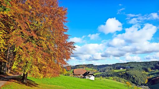 Herbststimmung in Tennenbronn Foto: Stadt Schramberg