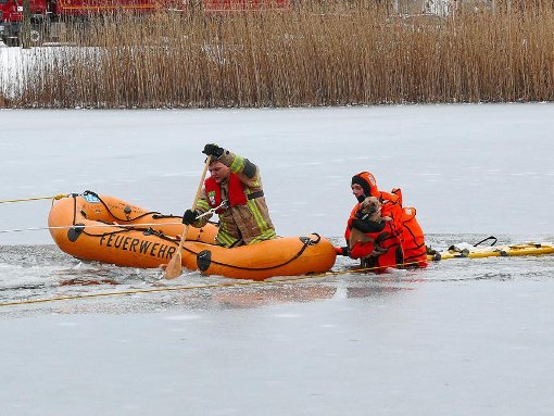 Die Feuerwehr rettete am Donnerstagmittag einen kleinen Mops aus dem Eiswasser des Vorderen Sees. Fotos: Strohmeier Foto: Strohmeier