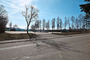 Büsche und Bäume am Containerplatz an der Weillindestraße in Empfingen sind entfernt worden.  Foto: Baiker