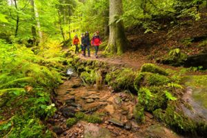 Die Natur genießen und Gutes tun beim Schwarzwälder Spenden-Wander-Marathon 2024 im Teinachtal.