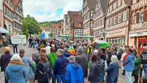 Mehr als 200 Teilnehmer lauschten der Kundgebung auf dem Marktplatz in Calw. Foto: Klormann